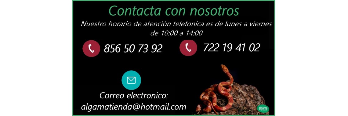 Contacto